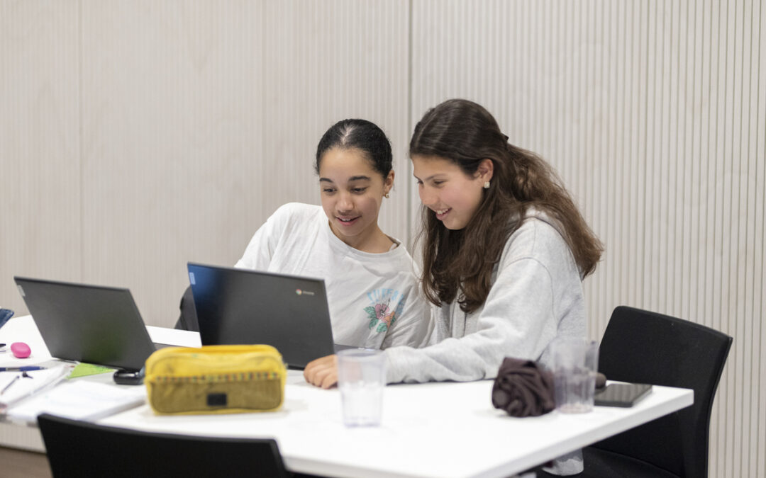 Novetats organitzatives en el reforç escolar